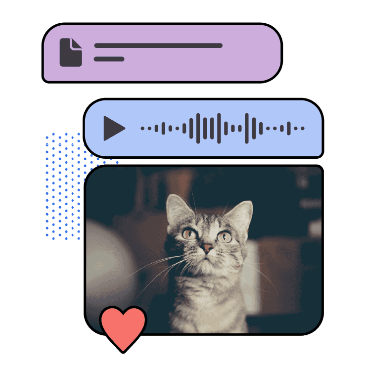 Signal 安卓版下载 - 安全分享功能